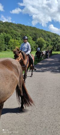 Life with Horse is better